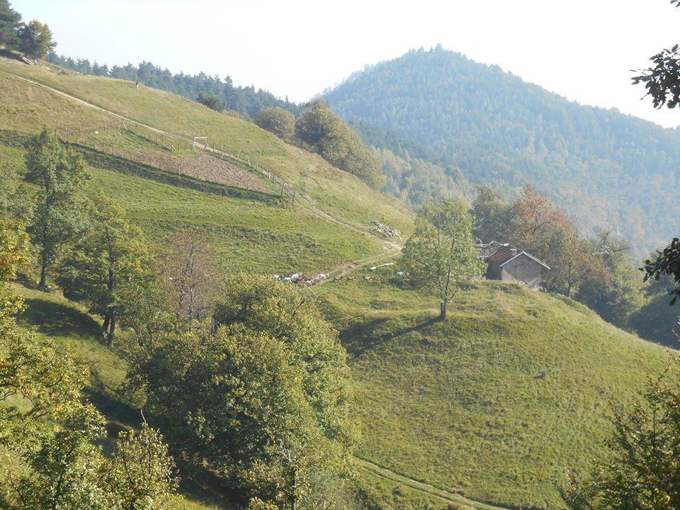 Agriturismo Fiorendo Pinerolo Dış mekan fotoğraf