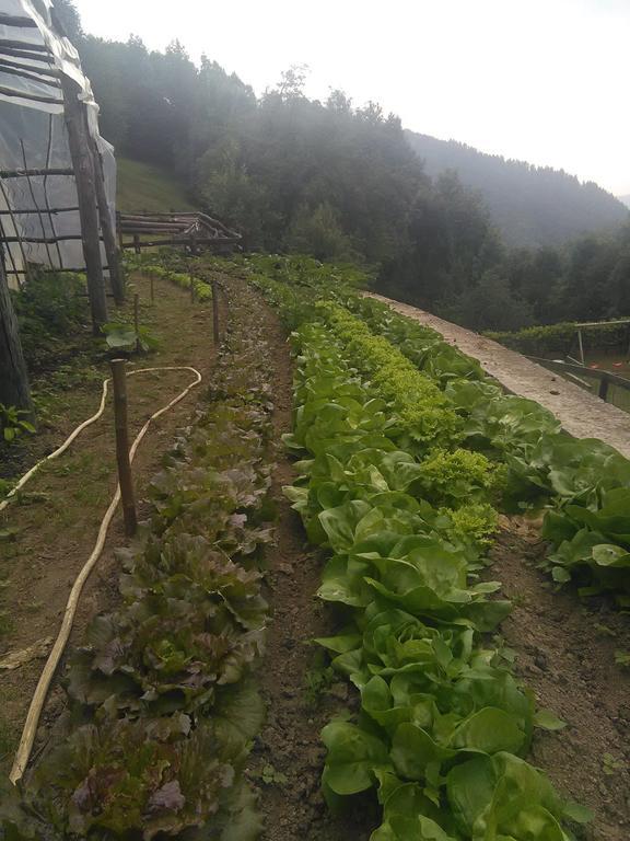 Agriturismo Fiorendo Pinerolo Dış mekan fotoğraf